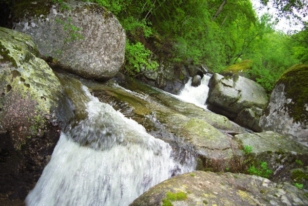 En saison, la rivière du Gardon offre, dans un environnement préservé, de nombreux plaisirs aux pêcheurs comme aux baigneurs