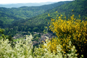 Vue du village de Saint-Etienne Vallée Française, en Cévennes